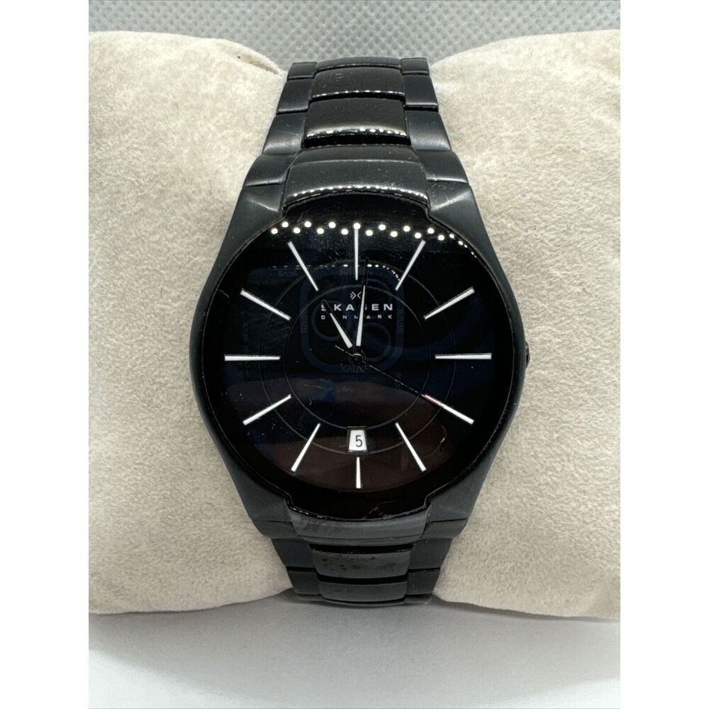 Skagen SKW6031 Women's Black Titanium Analog Dial Quartz Wrisr Watch JNA911